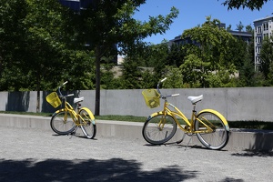 Yellow Bikes